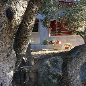 https://sumbra-de-sozzastru.in-sardinia.net